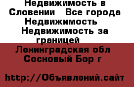 Недвижимость в Словении - Все города Недвижимость » Недвижимость за границей   . Ленинградская обл.,Сосновый Бор г.